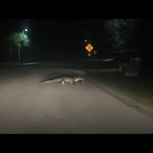 Meet your Posher, Natalia